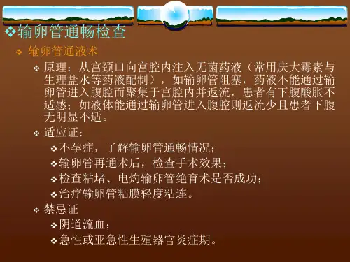 输卵管通畅检查