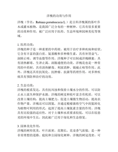 洋槐的功效与作用