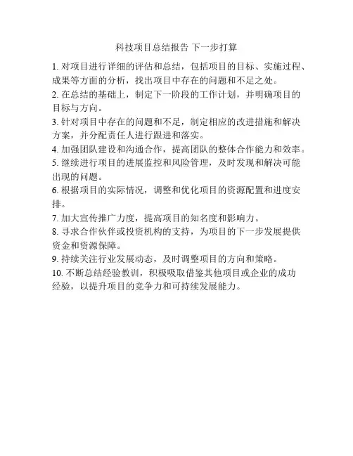 科技项目总结报告 下一步打算