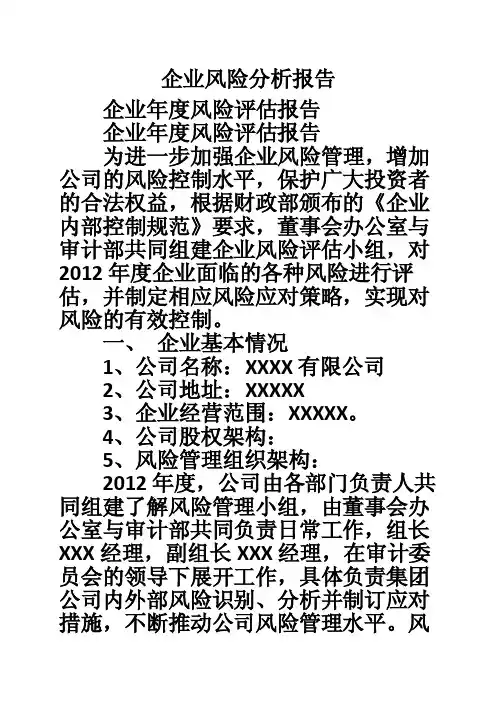 企业风险分析报告