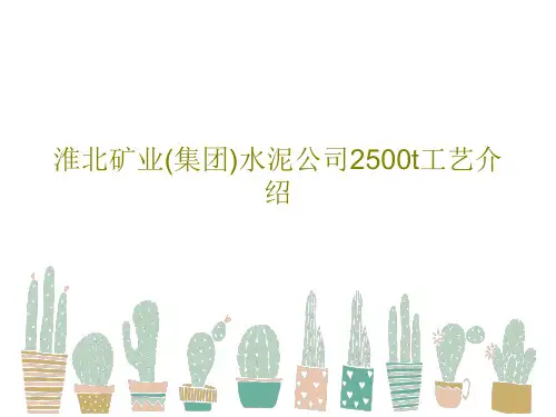 淮北矿业(集团)水泥公司2500t工艺介绍共51页
