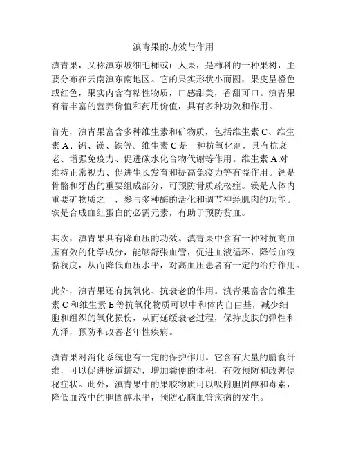 滇青果的功效与作用