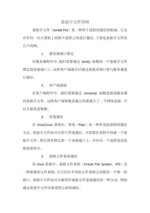 套接字文件用例