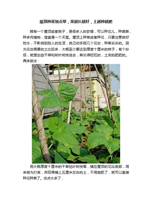 屋顶种菜加点草，菜越长越好，土越种越肥