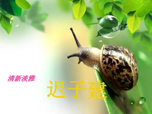 迟子建