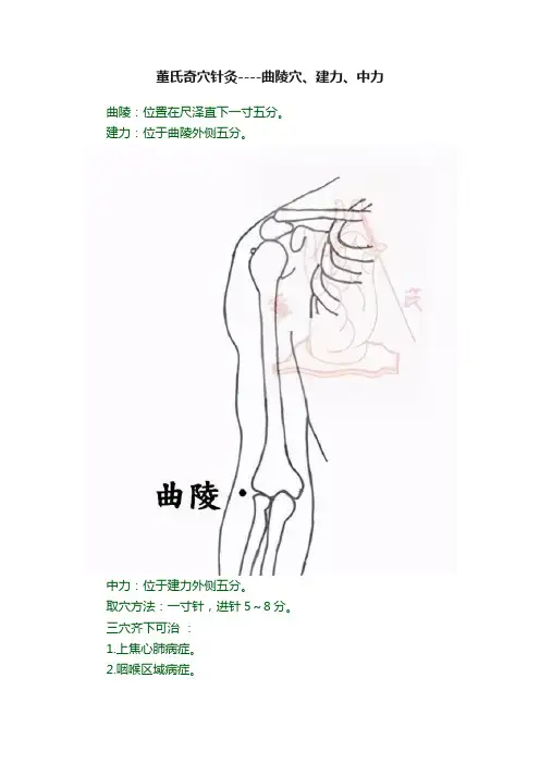 董氏奇穴针灸----曲陵穴、建力、中力