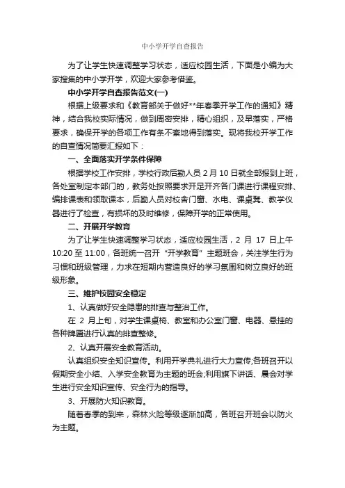 中小学开学自查报告_自查报告_