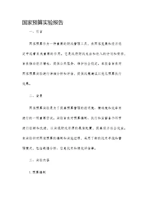 国家预算实验报告