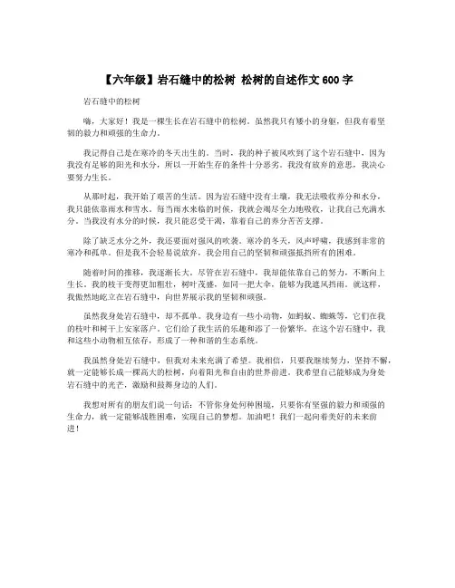 【六年级】岩石缝中的松树 松树的自述作文600字