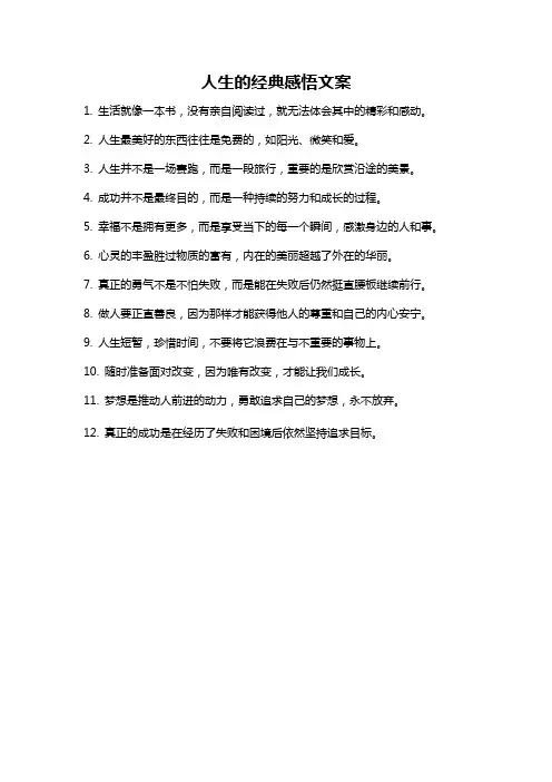 人生的经典感悟文案