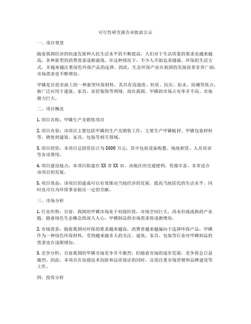 可行性研究报告审批前公示