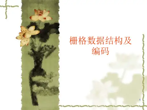 栅格数据结构及编码