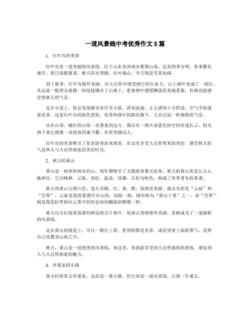 一道风景线中考优秀作文5篇