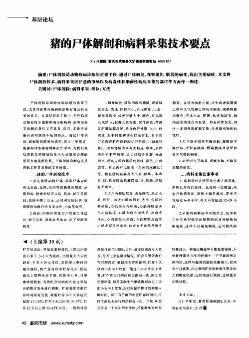 猪的尸体解剖和病料采集技术要点