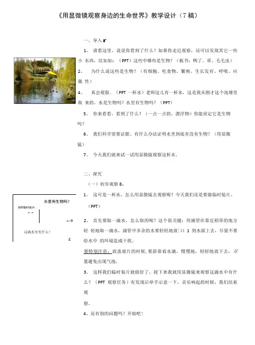 教科版小学科学六年级下册《用显微镜观察身边的生命世界(三)》教学设计.doc