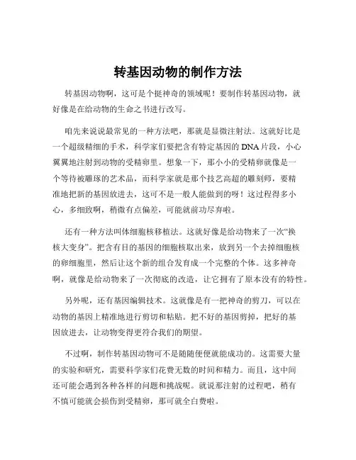 转基因动物的制作方法