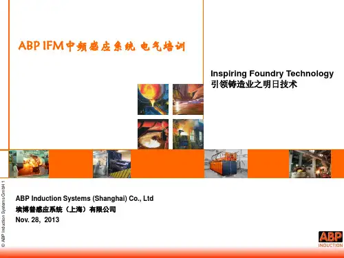 ABP_IFM感应炉使用培训