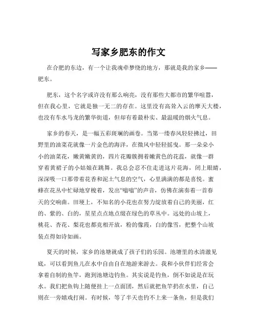 写家乡肥东的作文