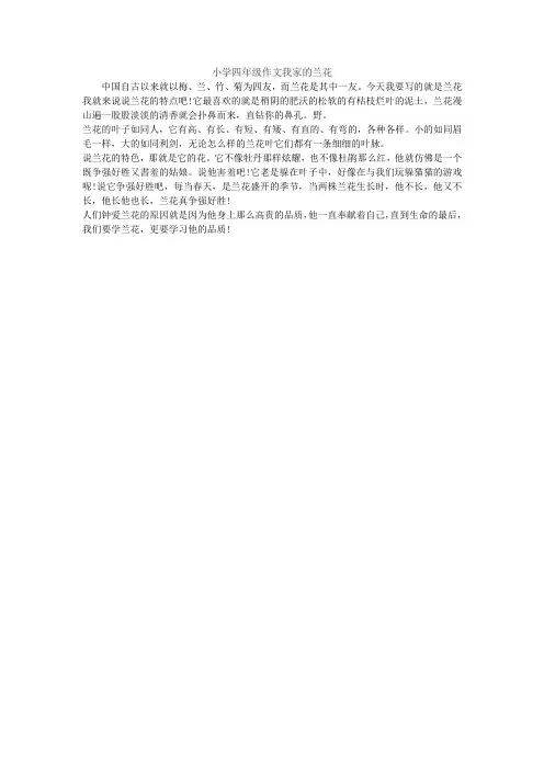 小学四年级作文我家的兰花