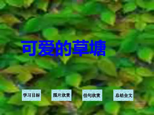 四年级语文可爱的草塘ppt课件