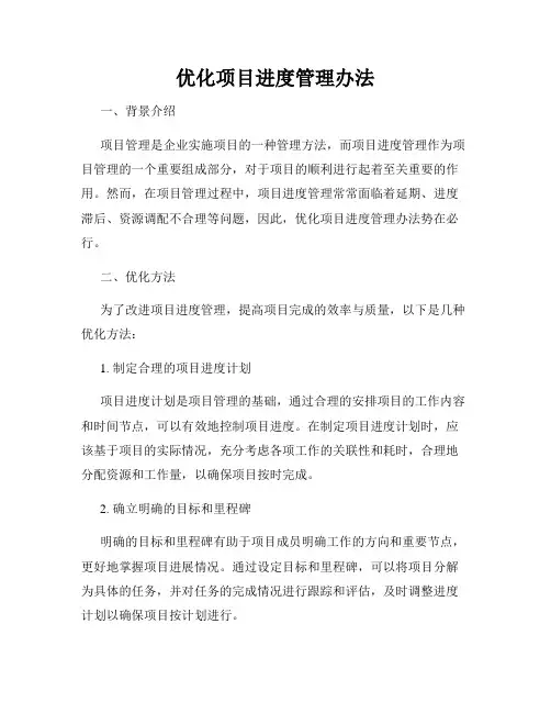 优化项目进度管理办法