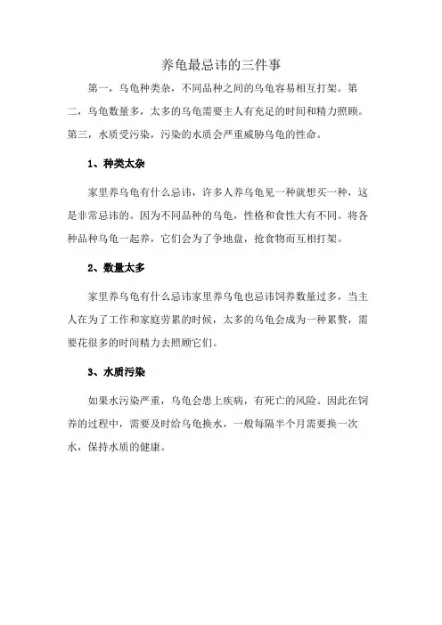 养龟最忌讳的三件事