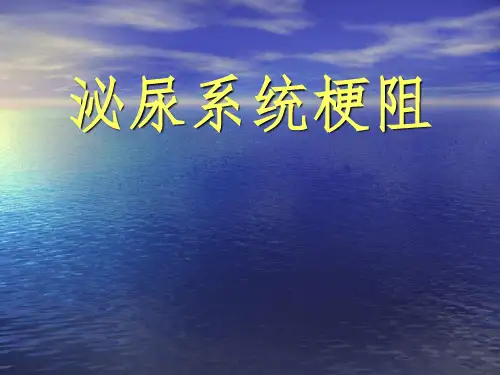 泌尿系统梗阻