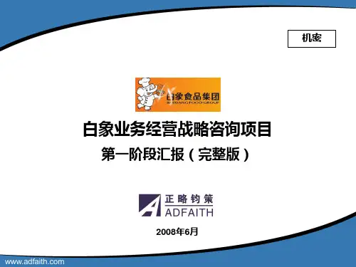 白象业务战略第一阶段汇报(完整版)-20080610