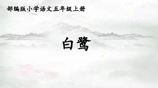 白鹭课件(共31张PPT)