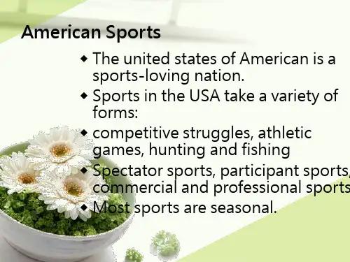 英美概况 American sports
