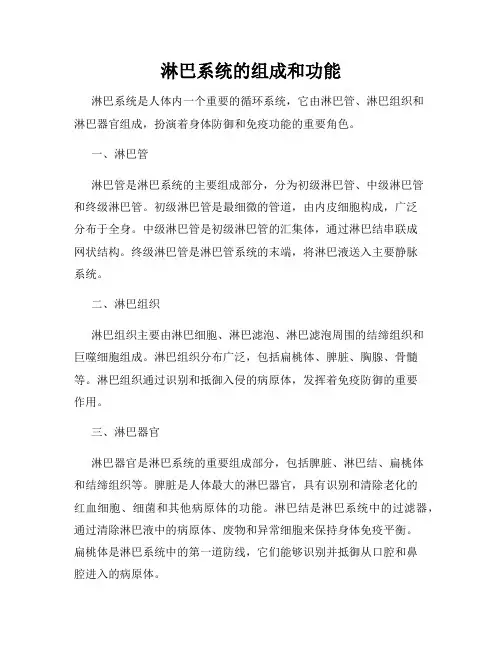 淋巴系统的组成和功能