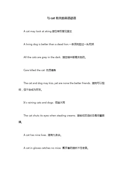 与cat有关的英语谚语