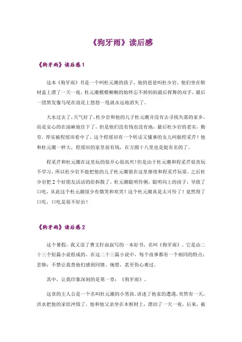 《狗牙雨》读后感