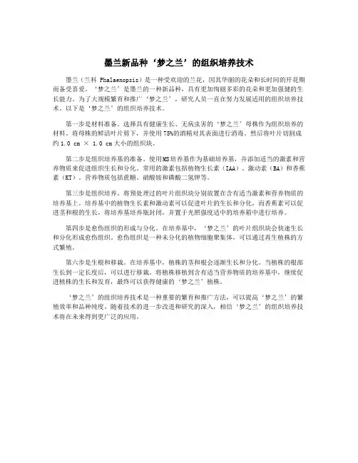 墨兰新品种‘梦之兰’的组织培养技术