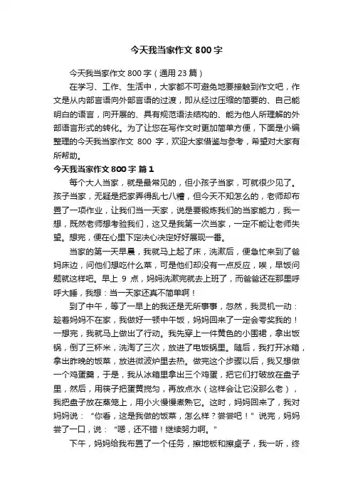 今天我当家作文800字