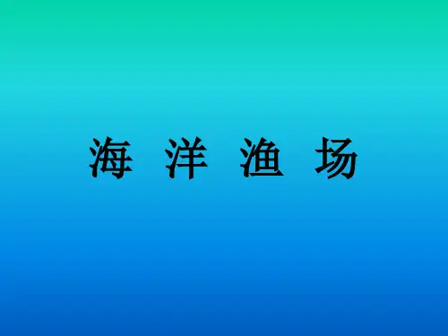 海 洋 渔 场.pptx