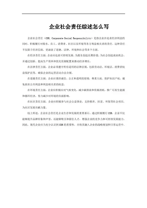 企业社会责任综述怎么写