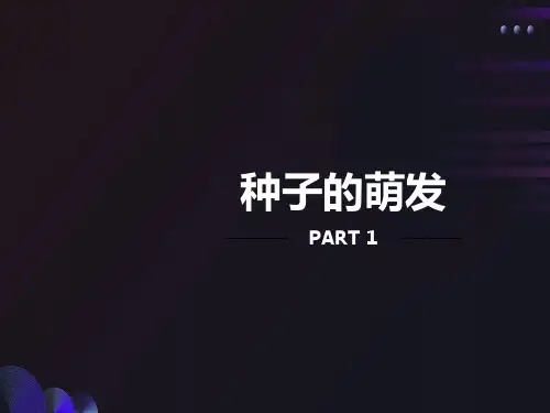 种子的萌发PPT课件