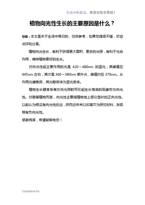 植物向光性生长的主要原因是什么？