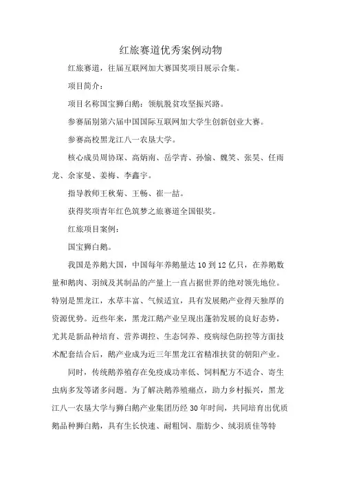 红旅赛道优秀案例动物