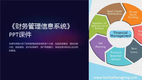 《财务管理信息系统》课件