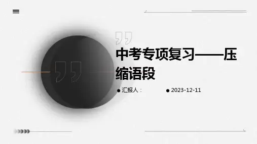 中考专项复习——压缩语段
