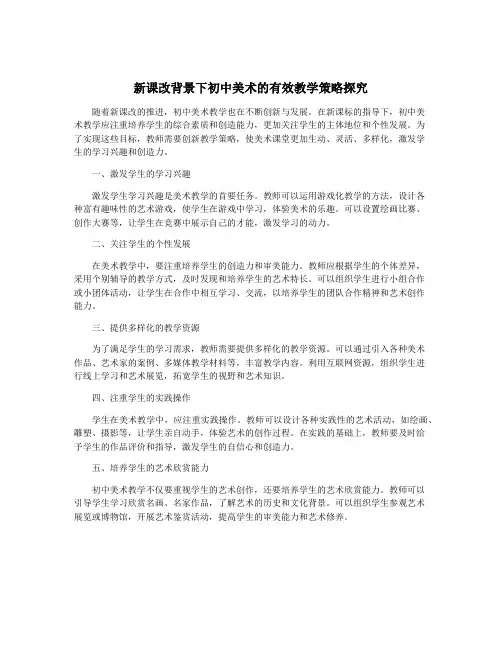 新课改背景下初中美术的有效教学策略探究