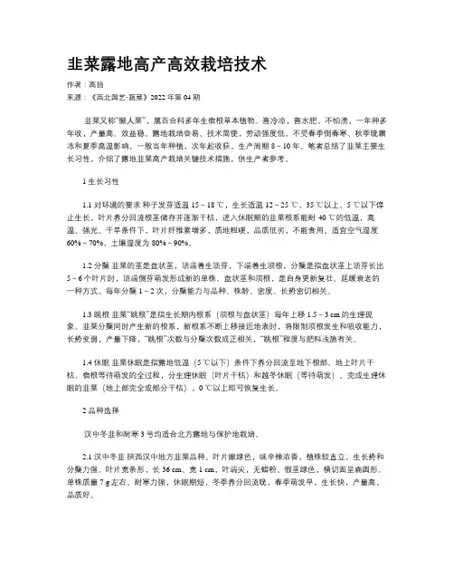 韭菜露地高产高效栽培技术