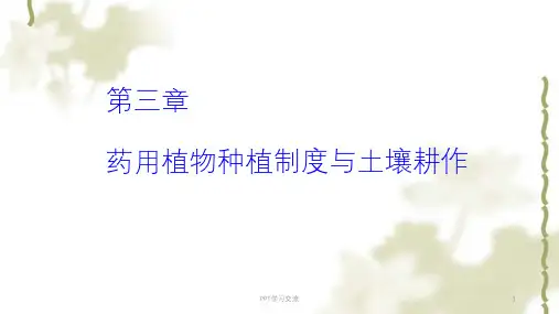 药用植物种植制度与土壤耕作ppt课件