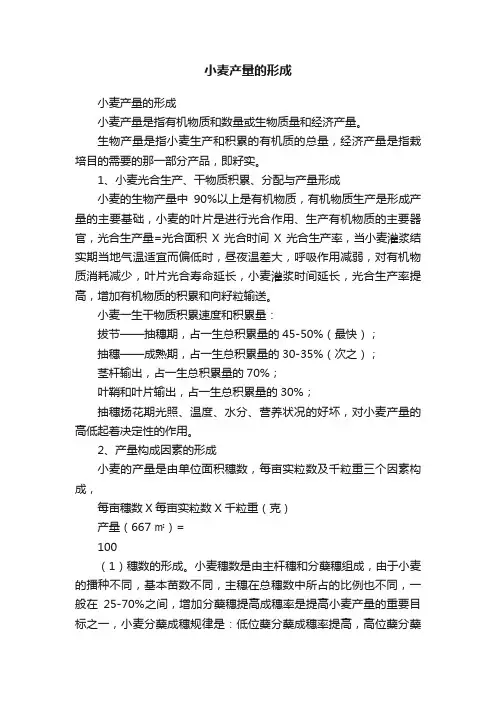 小麦产量的形成