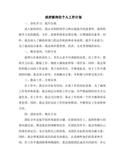 政府新岗位个人工作计划