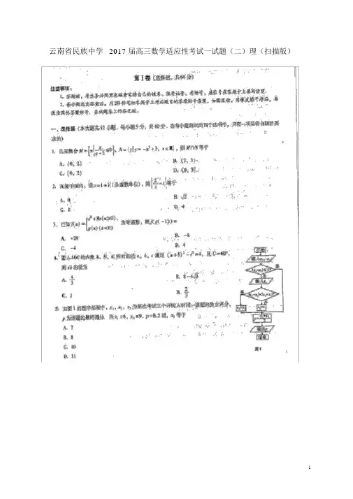 云南省民族中学2017届高三数学适应性考试试题(二)理(扫描版)