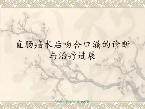 直肠癌术后吻合口漏 ppt课件