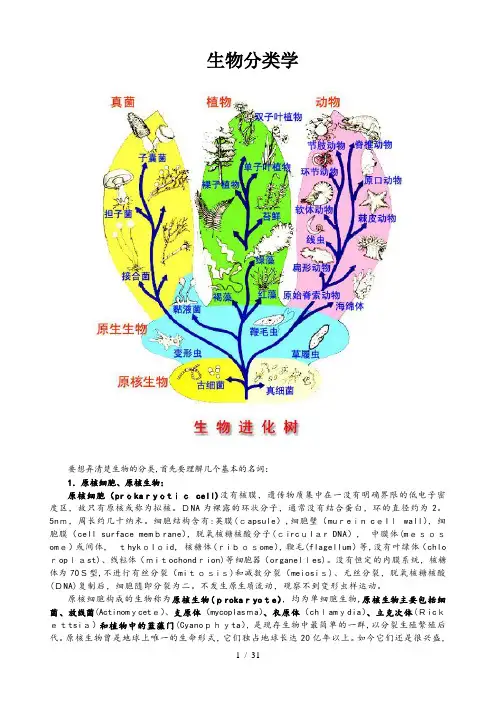 生物分类学完整版